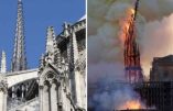 Notre-Dame de Paris : Plus de mille professionnels du patrimoine contre Macron !