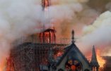 Notre-Dame-de-Paris brûle et certains se réjouissent