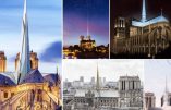 Notre-Dame de Paris : le Sénat s’oppose au gouvernement et à l’Assemblée nationale