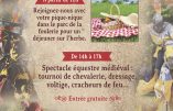 30 juin 2019 à Chaumont-en-Vexin : spectacle équestre médiéval