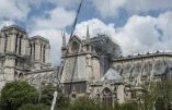 Quel avenir pour Notre-Dame de Paris ? Analyse politique sur ERFM