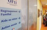 Associations pro-migrants : quand l’anti-France immigrationniste s’oppose frontalement aux dispositions législatives et s’attaque à l’OFII