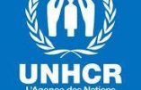 ONU pro-migrants contre Italie anti-immigration !