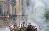 Montpellier – Acte 43 des Gilets Jaunes sous les gaz lacrymogènes