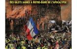 La France en flammes, des gilets jaunes à Notre-Dame (Jean-Michel Vernochet)
