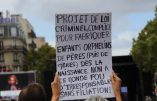 Reportage en photos de la Manif pour Tous contre la PMA