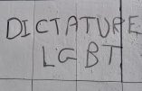 L’université de Bordeaux cède aux menaces violentes du diktat LGBT et annule un débat avec une philosophe opposée à la GPA