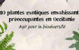 Grands remplacements : les espèces exotiques envahissantes de plus en plus nombreuses