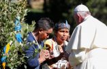 Rites païens au Vatican, la salle de presse vaticane entre embarras et mensonges