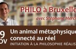 19 novembre 2019 à Bruxelles – Conférence de Stéphane Mercier : “Un animal métaphysique connecté au réel”