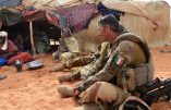 La France va-t-elle continuer à faire tuer ses soldats pour défendre des pays dans lesquels ils sont insultés?