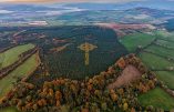 L’Irlande fière de son identité ou l’art de planter des arbres