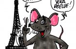 Ignace - Nouvel an chinois : l'année du rat