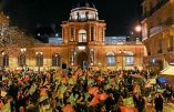 Le Sénat, à majorité de droite, dit oui à la PMA
