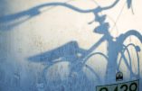 En Belgique, le vol de vélo devient un “crime écologique” !