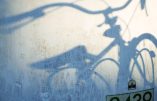 En Belgique, le vol de vélo devient un « crime écologique » !