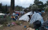 Colère et blocage contre les camps de migrants, le système immigrationniste grec s’effondre
