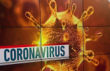 Coronavirus – L’étonnant reportage de la télé italienne en 2015 dérange les gardiens de la version officielle