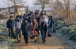 Phase 3 du déconfinement, boom de l’invasion en Europe