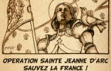 Ce dimanche 10 mai 2020, participez à l’Opération « Sainte Jeanne d’Arc, sauvez la France ! »