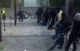 Le Grand Remplacement continue pendant le confinement
