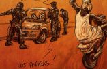 La nouvelle persécution des indigènes (ProjetKO)