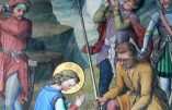 Lundi 18 mai 2020 – Lundi des Rogations – Saint Venant, Martyr – Saint Félix de Cantalice, 1er Ordre capucin († 1587)
