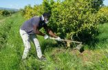 Italie, la crise économique engendrée par la gestion du covid-19, dernière excuse pour régulariser des clandestins