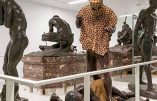 Tervuren, quel est le rôle d’un musée ?