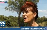 Le site naturel de la Montagnette vanté par Valérie Laupies