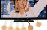 La fabrique de l’information occidentale