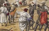 Tidiane N’Diaye raconte l’esclavagisme arabo-musulman qui castrait les esclaves Noirs