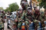 Mozambique – Les djihadistes se sont emparés du port de Mocimboa da Praia, important enjeu gazier pour Total