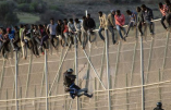 L’Espagne socialiste construit les murs anti-migrants les plus hauts du monde