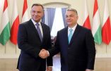 Agenda Lgbt de l’Union Européenne contre Pologne et Hongrie