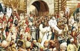 Dimanche 13 septembre 2020 – XV° dimanche après la Pentecôte – Saint Maurille, Évêque d’Angers