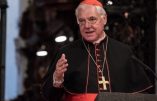 Le Cardinal Müller accuse Joe Biden de vouloir « déchristianiser la culture occidentale »