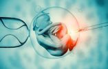 Projet de loi relatif à la bioéthique, un monde transhumaniste en devenir