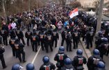 Allemagne – Nouvelles violences policières à Dresde lors de la manifestation contre la dictature sanitaire
