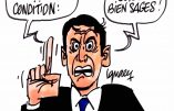 Ignace – Bientôt une vie plus normale ?