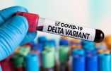 Le variant Delta est six fois plus mortel parmi les vaccinés anti-Covid, selon le rapport de santé publique britannique