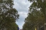 Hausse de la participation aux manifestations contre la dictature soi-disant sanitaire