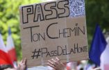 Paris contre la dictature sanitaire : reportage en photos