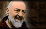 Padre Pio et les âmes du purgatoire, par M. l’abbé Thierry GAUDRAY