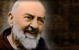 Padre Pio et les âmes du purgatoire, par M. l’abbé Thierry GAUDRAY