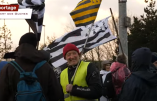 A la découverte du nouveau mouvement breton « La Vague », résolument antisystème