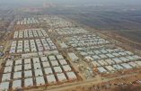 Ecosse : « camps d’internement » de covid-19