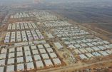 Ecosse : « camps d’internement » de covid-19