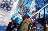 Message de Mgr Viganò aux amis et frères camionneurs canadiens