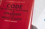 Tout savoir sur le droit des étrangers